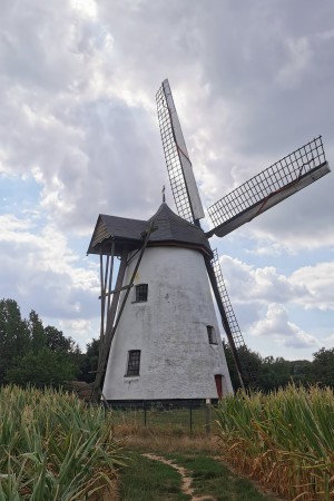  ﻿Le Moulin Molen ter hengst.